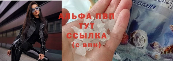 PSILOCYBIN Богданович