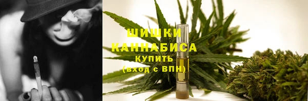 PSILOCYBIN Богданович