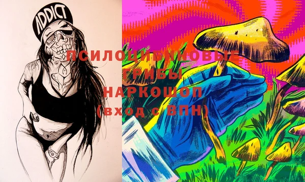 PSILOCYBIN Богданович