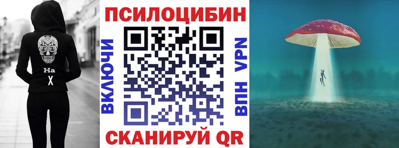хочу наркоту  omg ТОР  Галлюциногенные грибы Magic Shrooms  Комсомольск 